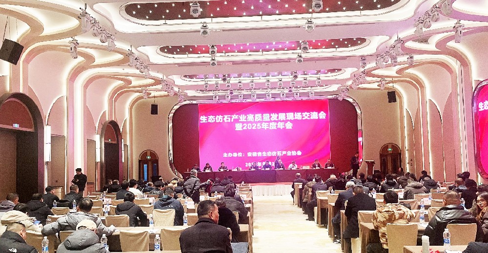 共探生態(tài)仿石新路徑，青島迪凱亮相安徽省產(chǎn)業(yè)協(xié)會(huì)年會(huì)！